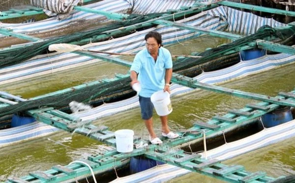 Ảnh minh họa: Người dân cư ngụ ven sông Cà Mau chủ động bố trí nuôi thủy sản thích ứng với biến đổi khí hậu và nước dâng cao. (Ảnh: Kim Há - TTXVN)