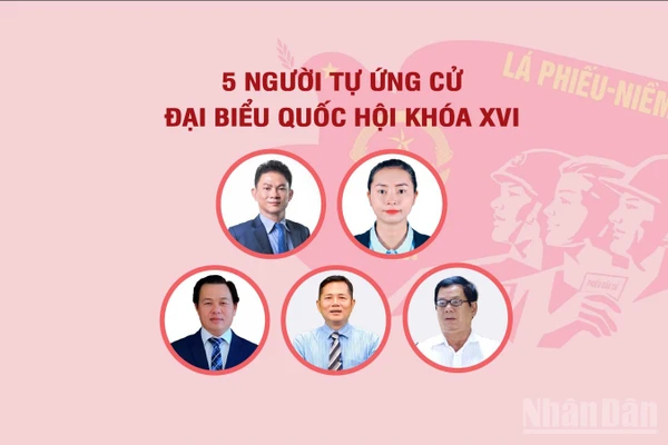 [Infographic] Năm người tự ứng cử đại biểu Quốc hội khóa XVI