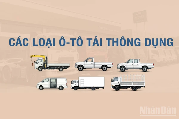 [Infographic] Các loại xe tải thông dụng theo Thông tư số 53/2024/TT-BGTVT 