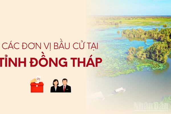 [Infographic] Các đơn vị bầu cử đại biểu Quốc hội tại tỉnh Đồng Tháp