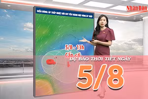 [Video] Dự báo thời tiết ngày 5/8/2026: Bắc Bộ mưa lớn kéo dài, Trung Bộ cục bộ có nơi mưa to 