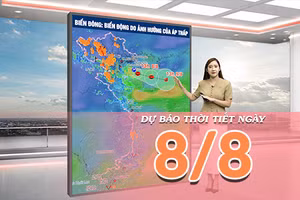 [Video] Dự báo thời tiết ngày 8/8/2026: Nắng trở lại tại Bắc Bộ, Trung Bộ duy trì mưa dông