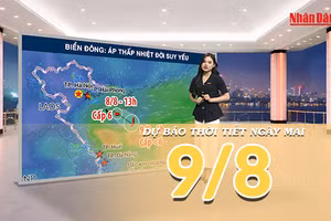 [Video] Dự báo thời tiết đêm nay và ngày mai ngày 9/8/2026: Áp thấp nhiệt đới suy yếu, Bắc Bộ đón nắng trở lại