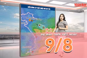 [Video] Dự báo thời tiết ngày 9/8/2026: Bắc Bộ nắng đẹp, miền Trung oi nóng