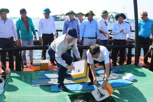 Thời gian qua, Viện III đã góp phần quan trọng thúc đẩy phát triển nuôi biển khu vực Nam Trung Bộ.