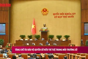 [Video] Tăng chế tài bảo vệ quyền sở hữu trí tuệ trong môi trường số 