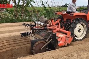 [Video] Đổi mới sáng tạo từ đồng ruộng đến thung lũng Silicon