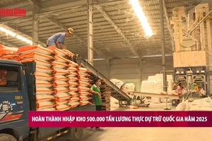 [Video] Hoàn thành nhập kho 500 nghìn tấn lương thực dự trữ quốc gia năm 2025