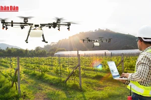 [Video] Việt Nam ưu tiên triển khai sớm ba sản phẩm công nghệ chiến lược