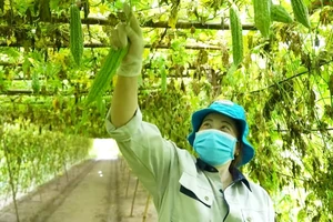 Hợp tác xã kỳ vọng sẽ có nhiều chính sách hỗ trợ hơn trong chuyển đổi số.