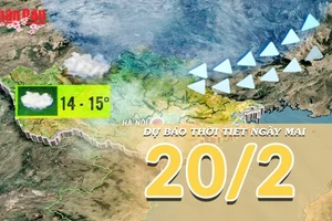 [Video] Dự báo thời tiết đêm nay và ngày mai 20/2/2026: Miền Bắc nắng ấm dần, miền Đông Nam Bộ nắng nóng