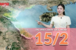 [Video] Dự báo thời tiết đêm nay và ngày mai 15/2/2026: Miền Bắc đón nắng, miền Trung sương mù dày 