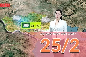 [Video] Dự báo thời tiết ngày 25/2/2026: Miền Bắc mưa dông diện rộng, Vịnh Bắc Bộ sương mù dày đặc