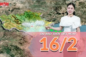 [Video] Dự báo thời tiết đêm nay và ngày mai 16/2/2026: Mưa Xuân mùng 1 Tết