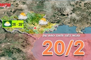 [Video] Dự báo thời tiết ngày 20/2/2026: Miền Bắc dứt mưa hửng nắng
