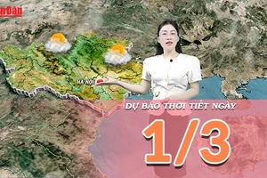 [Video] Dự báo thời tiết ngày 1/3/2026: Cả nước chuyển nắng, Bắc Bộ và Trung Bộ tăng nhiệt do ảnh hưởng vùng áp thấp phía Tây