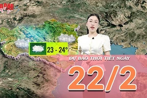 [Video] Dự báo thời tiết ngày 22/2/2026: Cả nước nhiều mây, miền Bắc sương mù dày, miền Nam đón mưa trái mùa
