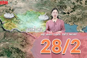 [Video] Dự báo thời tiết ngày 28/2/2026: Bắc Bộ sương mù dày, Nam Bộ nắng trở lại
