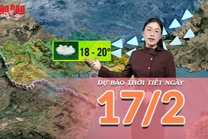 [Video] Dự báo thời tiết Mùng 1 Tết Bính Ngọ: Miền Bắc đón "lộc Xuân", phương Nam nắng ấm rạng rỡ