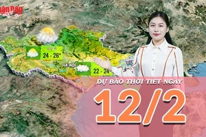 [Video] Dự báo thời tiết đêm nay và ngày mai 12/2/2026: Không khí lạnh suy yếu, nắng xuất hiện trên cả nước