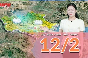 [Video] Dự báo thời tiết ngày 12/2/2026: Thời tiết tốt, thuận lợi cho các hoạt động chuẩn bị Tết 