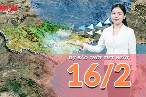 [Video] Dự báo thời tiết ngày 16/2/2026: Không khí lạnh tăng cường