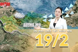 [Video] Dự báo thời tiết đêm nay và ngày mai 19/2/2026 (Mùng 3 Tết Bính Ngọ): Miền Bắc mưa Xuân se lạnh, Nam Bộ nắng nóng cục bộ