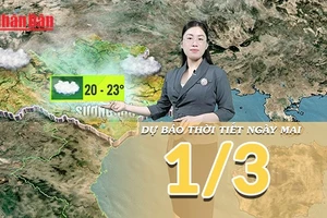 [Video] Dự báo thời tiết đêm nay và ngày mai 1/3/2026: Vùng áp thấp phía Tây phát triển mạnh, cả nước chuyển nắng ráo