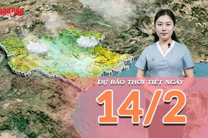 [Video] Dự báo thời tiết ngày 14/2/2026: Cả nước nắng ấm