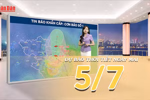 [Video] Dự báo thời tiết đêm nay và ngày mai ngày 5/7/2026: Bão số 1 áp sát Bắc Vịnh Bắc Bộ, Bắc Bộ mưa rất to, nguy cơ ngập úng, lũ quét và sạt lở đất