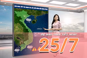 [Video] Dự báo thời tiết ngày 25/7/2026: Bão NOUL tăng cấp, tàu thuyền khẩn trương tránh vùng nguy hiểm 