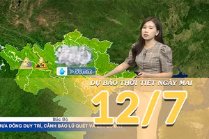 [Video] Dự báo thời tiết đêm nay và ngày mai ngày 12/7/2026: Bắc Bộ tiếp diễn mưa dông, cảnh giác nguy cơ lũ quét và sạt lở