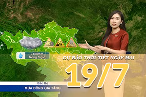 [Video] Dự báo thời tiết đêm nay và ngày mai ngày 19/7/2026: Bắc Bộ cảnh báo mưa lớn, Trung Bộ tiếp diễn nắng nóng