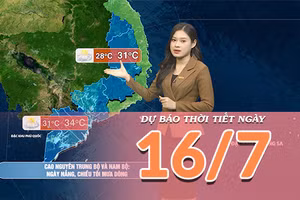 [Video] Dự báo thời tiết ngày 16/7/2026: Mưa dông gia tăng tại vùng núi Bắc Bộ 