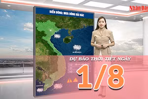[Video] Dự báo thời tiết ngày 1/8/2026: Bắc Bộ còn mưa dông, Trung và Nam Bộ có nắng gián đoạn