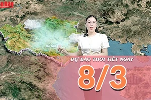[Video] Dự báo thời tiết ngày 8/3/2026: Thời tiết cả nước thuận lợi cho các hoạt động vui chơi ngày Quốc tế Phụ nữ