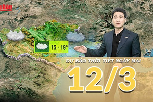 [Video] Dự báo thời tiết đêm nay và ngày mai 12/3/2026: Bắc Bộ tăng nhiệt trước khi đón mưa dông, Nam Bộ bước vào cao điểm nắng ráo