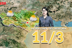 [Video] Dự báo thời tiết đêm nay và ngày mai 10/3/2026: Miền Bắc rét về đêm và sáng, miền Trung mưa giảm nhanh