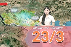 [Video] Dự báo thời tiết ngày 23/3/2026: Miền Bắc hửng nắng sớm, cả nước bước vào giai đoạn thời tiết lý tưởng