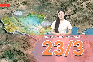 [Video] Dự báo thời tiết ngày 23/3/2026: Miền Bắc hửng nắng sớm, cả nước bước vào giai đoạn thời tiết lý tưởng