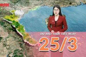 [Video] Dự báo thời tiết ngày 25/3/2026: Nam Bộ nắng nóng diện rộng, Biển Đông lặng sóng thuận lợi vươn khơi