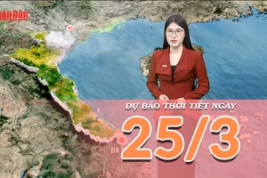 [Video] Dự báo thời tiết ngày 25/3/2026: Nam Bộ nắng nóng diện rộng, Biển Đông lặng sóng thuận lợi vươn khơi