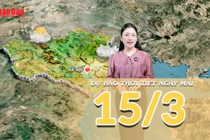 [Video] Dự báo thời tiết đêm nay và ngày mai 15/3/2026: Miền Bắc đón mưa phùn sương mù, Nam Bộ nắng nóng diện rộng