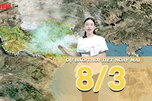 [Video] Dự báo thời tiết đêm nay và ngày mai 8/3/2026: Miền Bắc sương mù, cả nước ngày nắng nhẹ