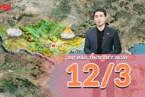 [Video] Dự báo thời tiết ngày 12/3/2026: Miền Bắc đón mưa dông, cảnh báo xâm nhập mặn tại Nam Bộ diễn biến phức tạp
