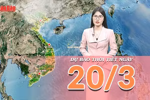 [Video] Dự báo thời tiết ngày 20/3/2026: Bắc Bộ và Trung Bộ tăng nhiệt mạnh, Nam Bộ chạm đỉnh nắng nóng cao điểm mùa khô