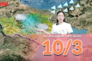 [Video] Dự báo thời tiết ngày 10/3/2026: Cảnh báo mưa to tại Trung Bộ và biển động mạnh