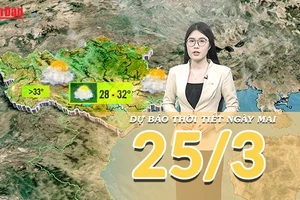 [Video] Dự báo thời tiết đêm nay và ngày mai 25/3/2026: Rãnh nhiệt cao xuất hiện, Bắc Bộ và miền Trung nắng mạnh