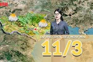 [Video] Dự báo thời tiết đêm nay và ngày mai 10/3/2026: Miền Bắc rét về đêm và sáng, miền Trung mưa giảm nhanh