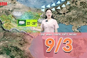 [Video] Dự báo thời tiết ngày 9/3/2026: Bắc Bộ giảm nhiệt, cảnh báo mưa dông; Nam Bộ nắng ấm, trời đẹp